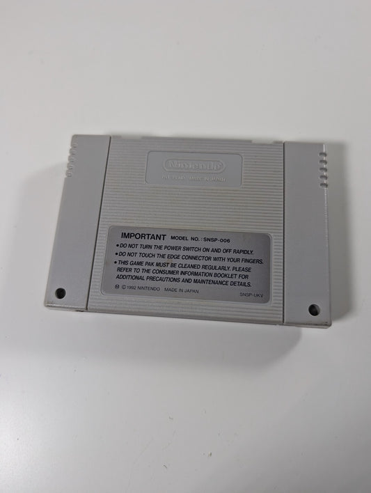 Troddlers - Nintendo SNES - Cart Only