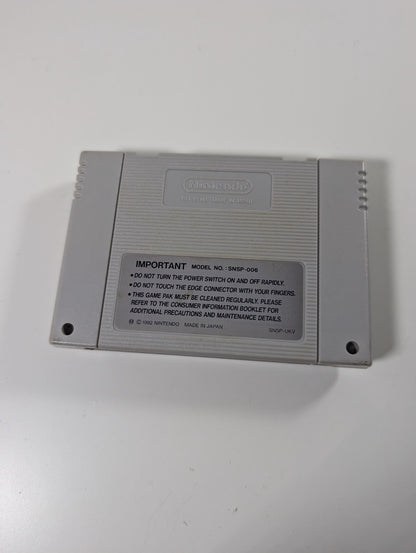 Troddlers - Nintendo SNES - Cart Only